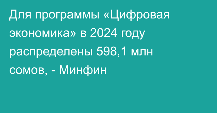 Для программы «Цифровая экономика» в 2024 году распределены 598,1 млн сомов, - Минфин