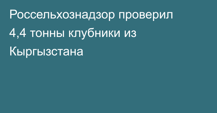 Россельхознадзор проверил 4,4 тонны клубники из Кыргызстана