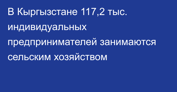 В Кыргызстане 117,2 тыс. индивидуальных предпринимателей занимаются сельским хозяйством
