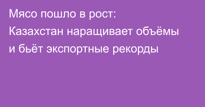 Мясо пошло в рост: Казахстан наращивает объёмы и бьёт экспортные рекорды