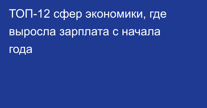 ТОП-12 сфер экономики, где выросла зарплата с начала года