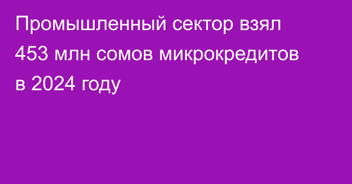 Промышленный сектор взял 453 млн сомов микрокредитов в 2024 году
