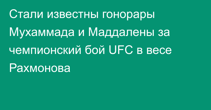 Стали известны гонорары Мухаммада и Маддалены за чемпионский бой UFC в весе Рахмонова