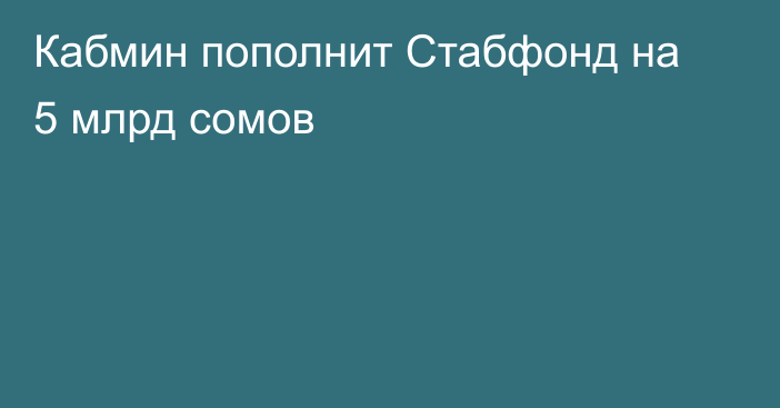 Кабмин пополнит Стабфонд на 5 млрд сомов