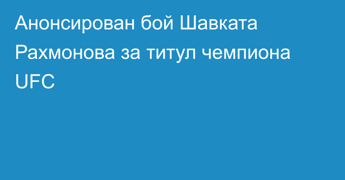 Анонсирован бой Шавката Рахмонова за титул чемпиона UFC