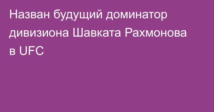 Назван будущий доминатор дивизиона Шавката Рахмонова в UFC
