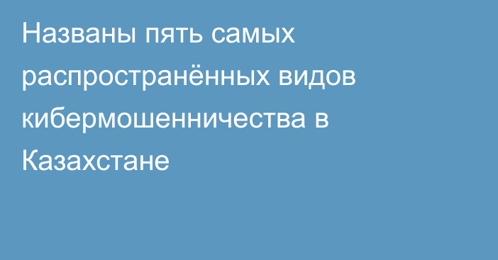 Названы пять самых распространённых видов кибермошенничества в Казахстане