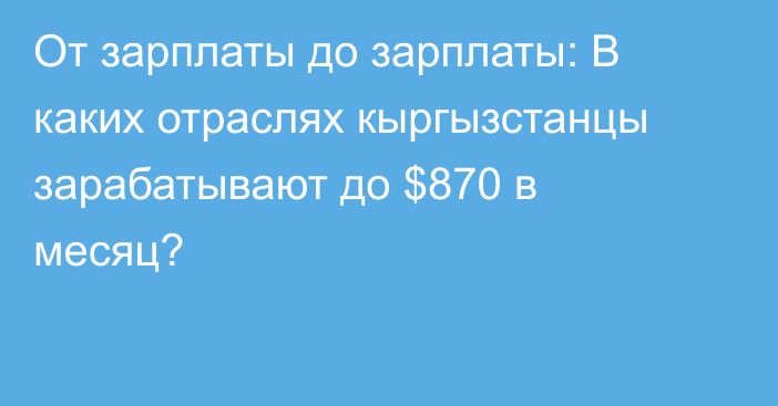 От зарплаты до зарплаты: В каких отраслях кыргызстанцы зарабатывают до $870 в месяц?