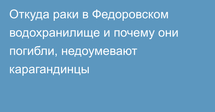 Откуда раки в Федоровском водохранилище и почему они погибли, недоумевают карагандинцы