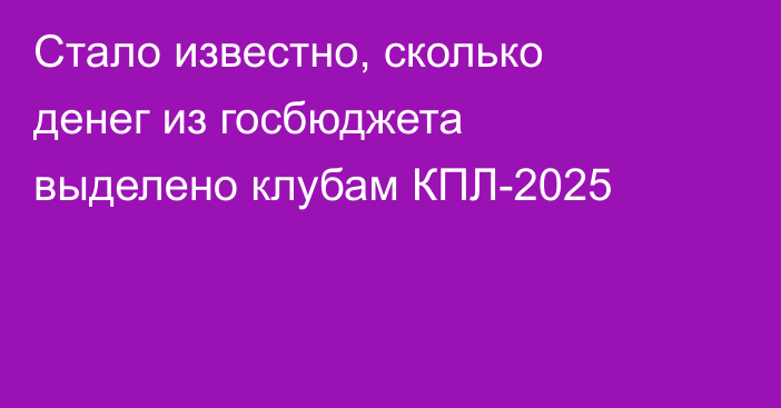 Стало известно, сколько денег из госбюджета выделено клубам КПЛ-2025