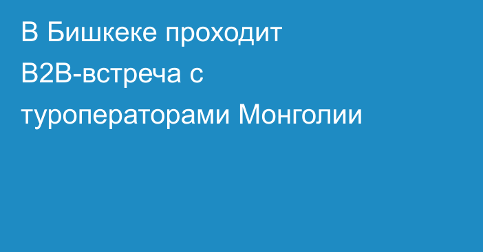 В Бишкеке проходит B2B-встреча с туроператорами Монголии