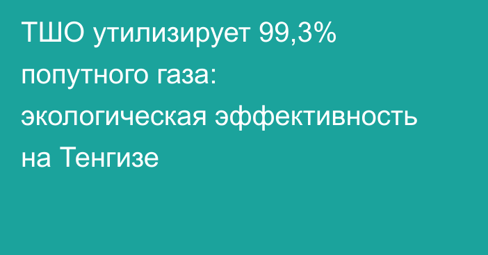 ТШО утилизирует 99,3% попутного газа: экологическая эффективность на Тенгизе