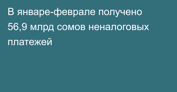 В январе-феврале получено 56,9 млрд сомов неналоговых платежей