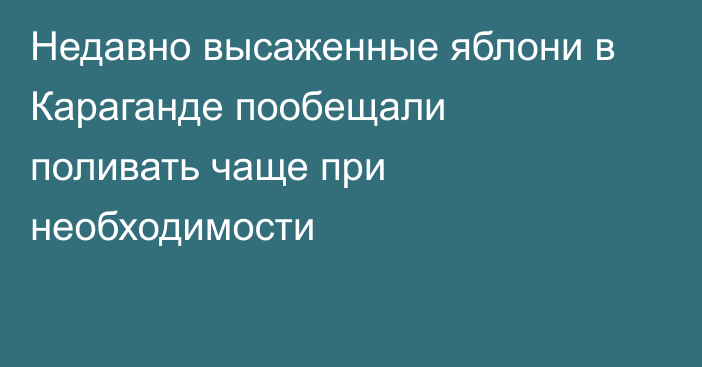 Недавно высаженные яблони в Караганде пообещали поливать чаще при необходимости