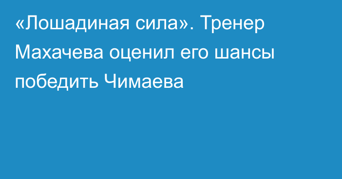 «Лошадиная сила». Тренер Махачева оценил его шансы победить Чимаева