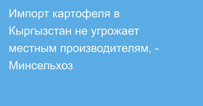 Импорт картофеля в Кыргызстан не угрожает местным производителям, - Минсельхоз