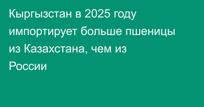 Кыргызстан в 2025 году импортирует больше пшеницы из Казахстана, чем из России