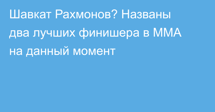 Шавкат Рахмонов? Названы два лучших финишера в ММА на данный момент
