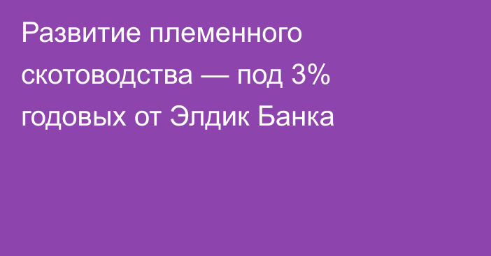 Развитие племенного скотоводства — под 3% годовых от Элдик Банка