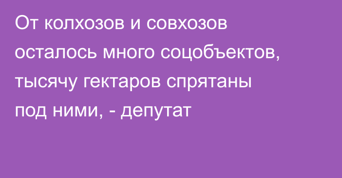 От колхозов и совхозов осталось много соцобъектов, тысячу гектаров спрятаны под ними, - депутат