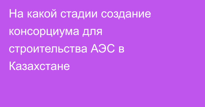 На какой стадии создание консорциума для строительства АЭС в Казахстане