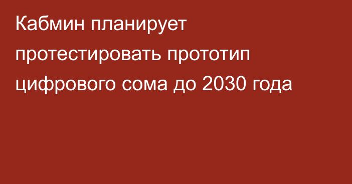 Кабмин планирует протестировать прототип цифрового сома до 2030 года