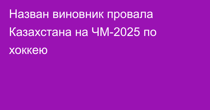 Назван виновник провала Казахстана на ЧМ-2025 по хоккею