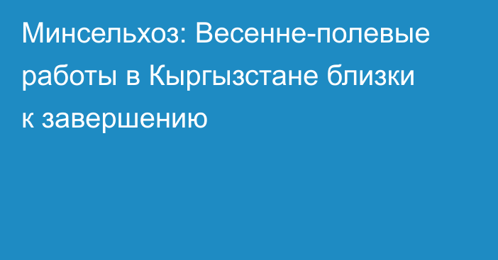 Минсельхоз: Весенне-полевые работы в Кыргызстане близки к завершению