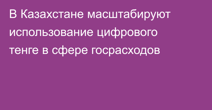 В Казахстане масштабируют использование цифрового тенге в сфере госрасходов
