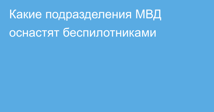 Какие подразделения МВД оснастят беспилотниками