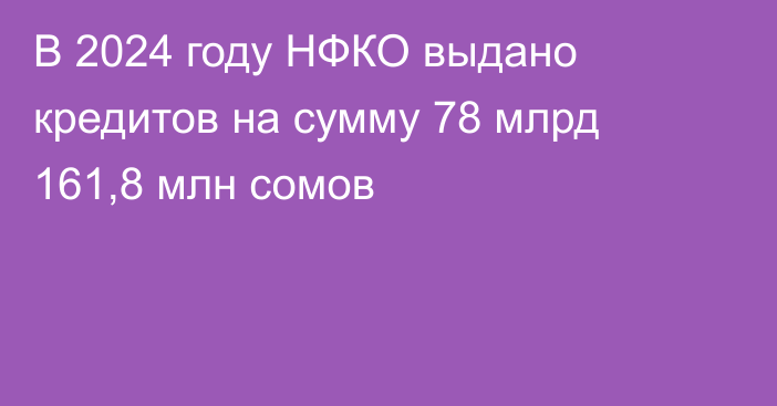 В 2024 году НФКО выдано кредитов на сумму 78 млрд 161,8 млн сомов