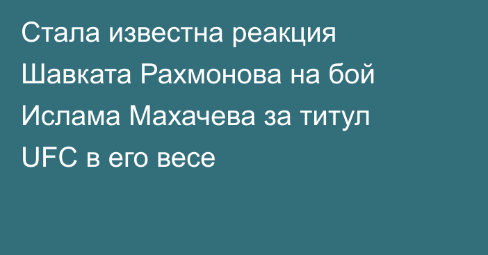 Стала известна реакция Шавката Рахмонова на бой Ислама Махачева за титул UFC в его весе