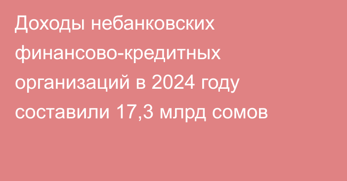Доходы небанковских финансово-кредитных организаций в 2024 году составили 17,3 млрд сомов
