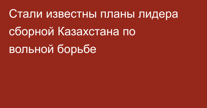 Стали известны планы лидера сборной Казахстана по вольной борьбе