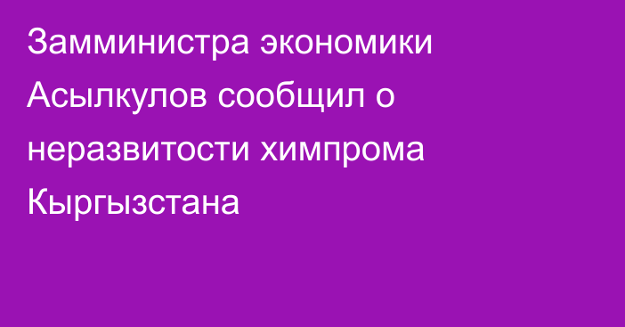 Замминистра экономики Асылкулов сообщил о неразвитости химпрома Кыргызстана