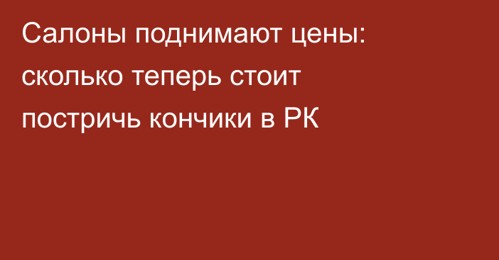Салоны поднимают цены: сколько теперь стоит постричь кончики в РК