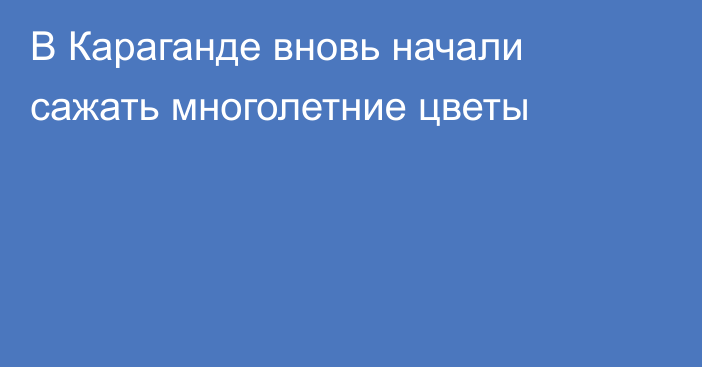 В Караганде вновь начали сажать многолетние цветы