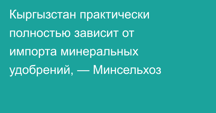 Кыргызстан практически полностью зависит от импорта минеральных удобрений, — Минсельхоз
