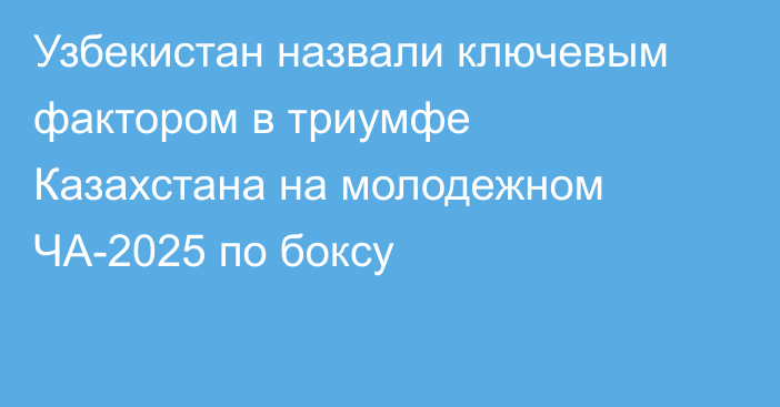 Узбекистан назвали ключевым фактором в триумфе Казахстана на молодежном ЧА-2025 по боксу