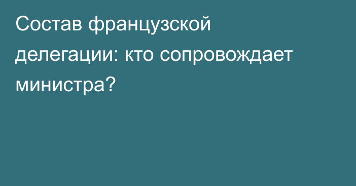 Состав французской делегации: кто сопровождает министра?