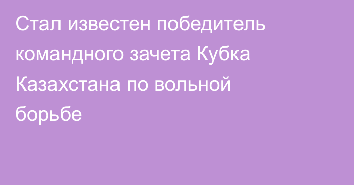 Стал известен победитель командного зачета Кубка Казахстана по вольной борьбе