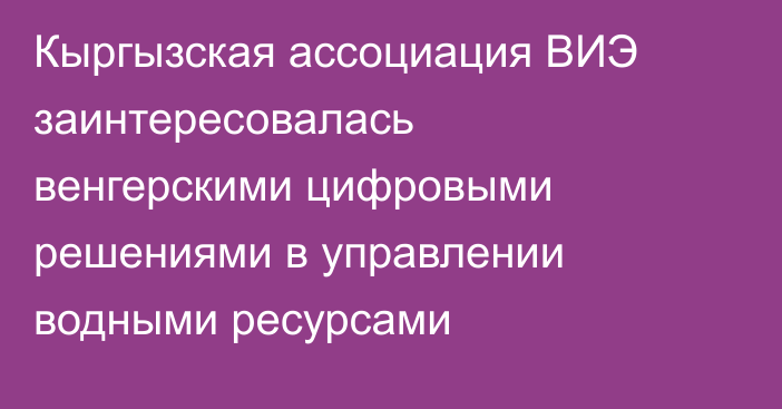 Кыргызская ассоциация ВИЭ заинтересовалась венгерскими цифровыми решениями в управлении водными ресурсами