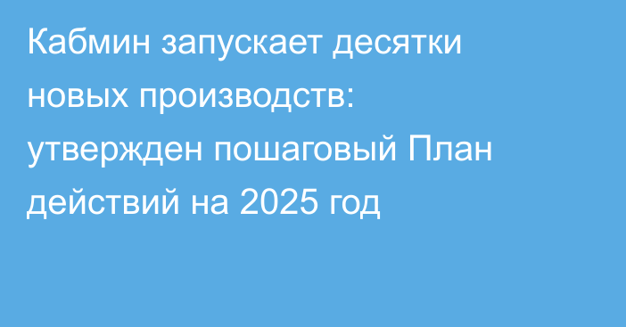 Кабмин запускает десятки новых производств: утвержден пошаговый План действий на 2025 год