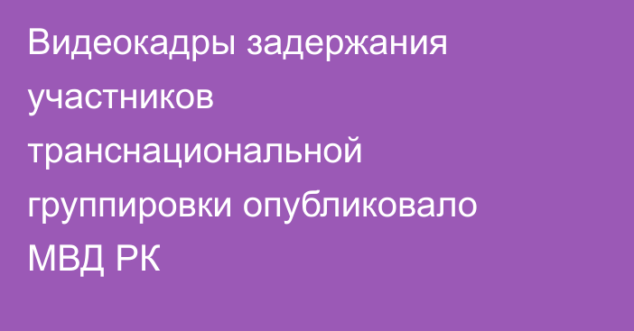 Видеокадры задержания участников транснациональной группировки опубликовало МВД РК
