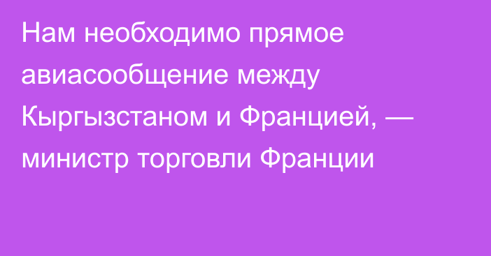 Нам необходимо прямое авиасообщение между Кыргызстаном и Францией, — министр торговли Франции
