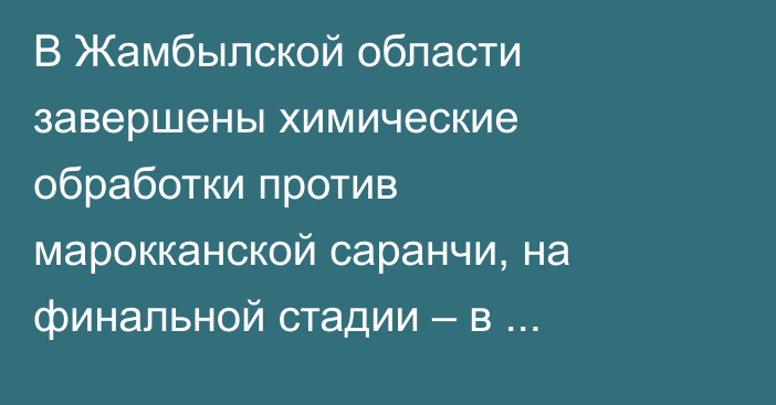 В Жамбылской области завершены химические обработки против марокканской саранчи, на финальной стадии – в Туркестанской