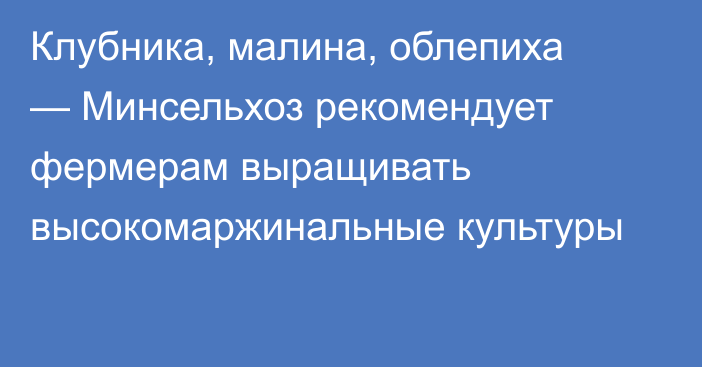 Клубника, малина, облепиха — Минсельхоз рекомендует фермерам выращивать высокомаржинальные культуры