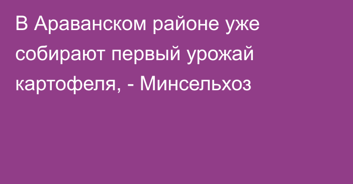 В Араванском районе уже собирают первый урожай картофеля, - Минсельхоз