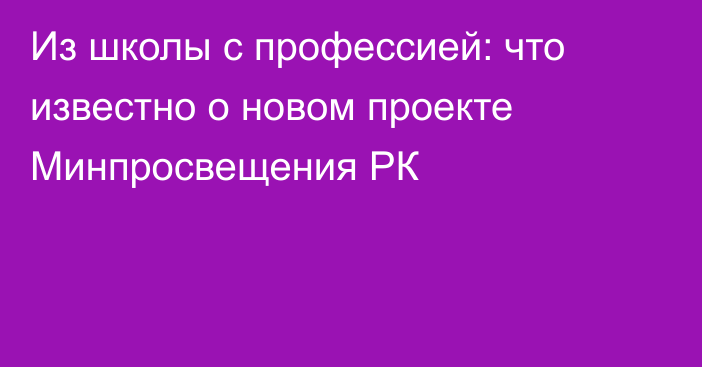 Из школы с профессией: что известно о новом проекте Минпросвещения РК