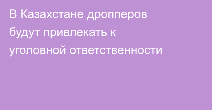 В Казахстане дропперов будут привлекать к уголовной ответственности